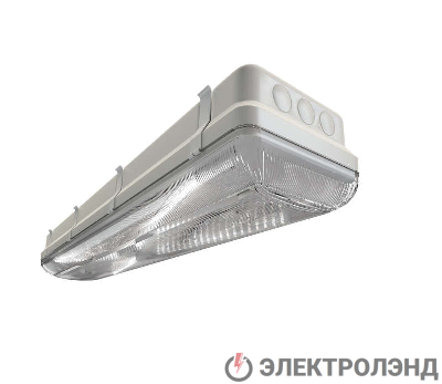 Светильник ДСП TL-ЭКО 236/35 PR IP65 (S5E) Технологии Света УТ000003617